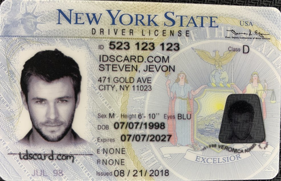 New York State Drivers License Template Psd